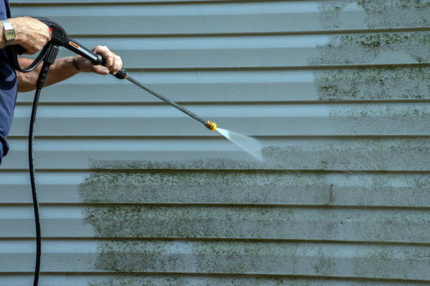 Best Exterior Home Cleaning  in Clearfield, PA